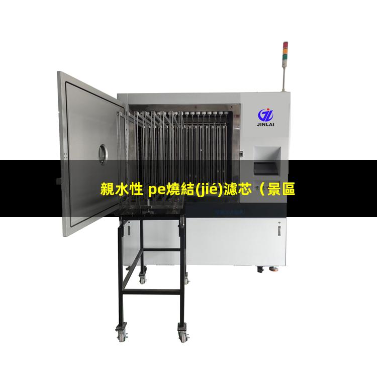親水性 pe燒結(jié)濾芯